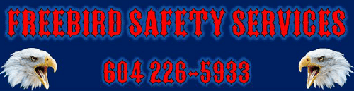 Construction Safety Services, Company name and number, 2 eagles, 110 KB, 500 pixels x 129 pixels